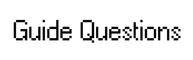 guide questions